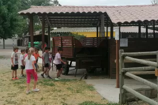 Nens i nenes de 2n de primària al taller d'animals a la granja escola de La Manreana