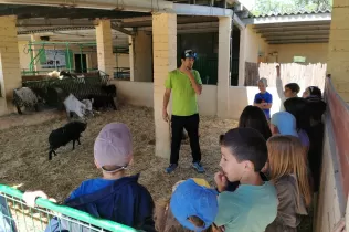 Nens i nenes de 2n de primària al taller d'animals a la granja escola de La Manreana