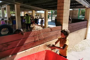 Nens i nenes de 2n de primària al taller d'animals a la granja escola de La Manreana