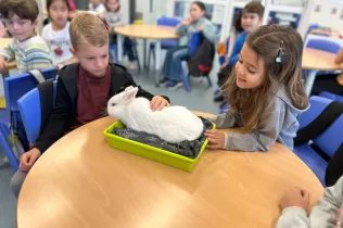 Alumnes de 1r de Primària de Jesuïtes Casp coneixen un conill