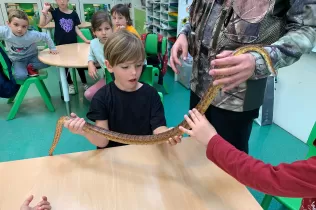 Una serp al taller dels alumnes de primer de Primària de Jesuïtes Casp