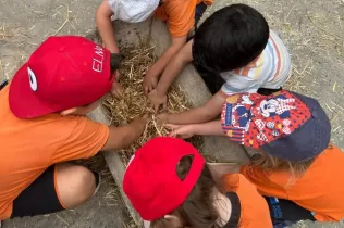 Alumnes de P3 preparant el menjar per a les vedelles en la seva experiència agrícola educativa a la Granja Pifarré de l'Horta de Lleida