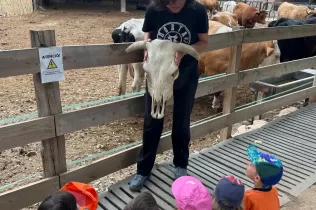 Alumnes de P3 coneixent diferents races de vaques en la seva experiència agrícola educativa a la Granja Pifarré de l'Horta de Lleida