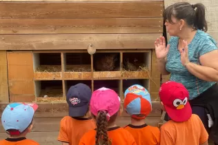 Alumnes de P3 recollint ous que havien post les gallines en la seva experiència agrícola educativa a la Granja Pifarré de l'Horta de Lleida