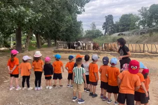 Alumnes de P3 coneixent diferents races de vaques en la seva experiència agrícola educativa a la Granja Pifarré de l'Horta de Lleida