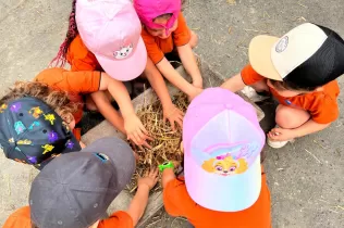 Alumnes de P3 preparant el menjar per a les vedelles en la seva experiència agrícola educativa a la Granja Pifarré de l'Horta de Lleida