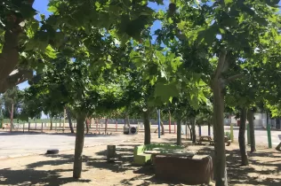 Pati de Jesuïtes Lleida Col·legi Claver, enmig de la natura