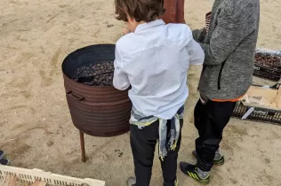 Alumnes de 6è coient les castanyes pels seus companys i companyes