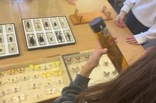 Alumnes de 1r ESO fent experiments científics guiats per l'alumnat de 1r Batxillerat al laboratori de l'escola en el marc de la Setmana de la Ciència