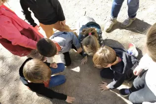 Alumnes de 1r de primària en una sessió de bosc del projecte Claver Ntura al bosc de l'escola