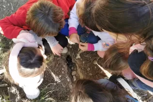 Alumnes de 1r de primària en una sessió de bosc del projecte Claver Ntura al bosc de l'escola