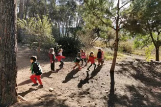 Alumnes de 1r de primària en una sessió de bosc del projecte Claver Ntura al bosc de l'escola