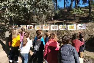 Alumnes de 1r de primària en una sessió de bosc del projecte Claver Ntura al bosc de l'escola