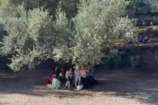 Alumnes de 1r de primària en una sessió de bosc del projecte Claver Ntura al bosc de l'escola