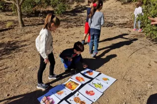 Alumnes de 1r de primària en una sessió de bosc del projecte Claver Ntura al bosc de l'escola