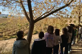 Alumnes de 1r de primària en una sessió de bosc del projecte Claver Ntura al bosc de l'escola