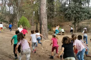 Alumnes de 1r de primària en una sessió de bosc del projecte Claver Ntura al bosc de l'escola