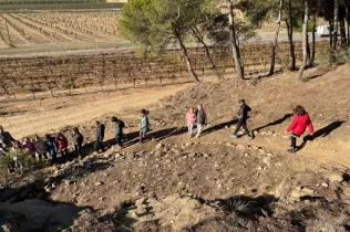 Alumnes de 1r de primària en una sessió de bosc del projecte Claver Ntura al bosc de l'escola