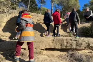 Alumnes de 1r de primària en una sessió de bosc del projecte Claver Ntura al bosc de l'escola