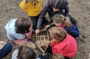 Alumnes de 1r de primària en una sessió de bosc del projecte Claver Ntura al bosc de l'escola