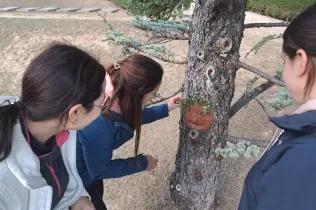 Famílies de MOPI I5 participant del tastet d'escola natura al bosc del Claver