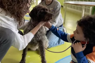 Alumnes de MOPI 5 treballant el projecte dels animals i rebent famílies del curs que els han fet activtat per conèixer els gossos com animals domèstics