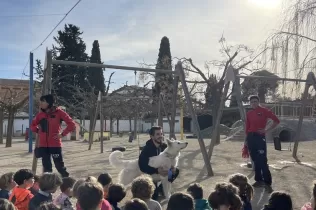 Alumnes de MOPI 5 treballant el projecte dels animals i rebent famílies del curs que els han fet activtat per conèixer els gossos com animals domèstics