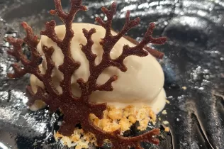 direcció de cuina sant ignasi