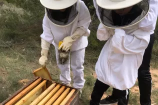 Alumnes de 2n de la PIN de Jesuïtes Lleida fent el taller d'apicultura a Cal Gort a la Pobla de Cèrvoles