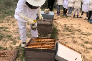 Alumnes de 2n de la PIN de Jesuïtes Lleida fent el taller d'apicultura a Cal Gort a la Pobla de Cèrvoles