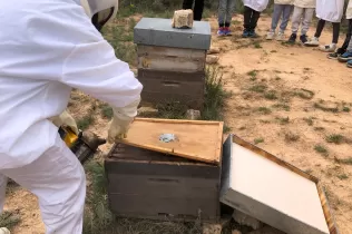 Alumnes de 2n de la PIN de Jesuïtes Lleida fent el taller d'apicultura a Cal Gort a la Pobla de Cèrvoles