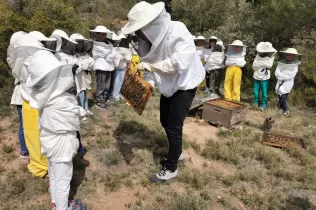 Alumnes de 2n de la PIN de Jesuïtes Lleida fent el taller d'apicultura a Cal Gort a la Pobla de Cèrvoles