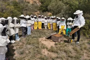 Alumnes de 2n de la PIN de Jesuïtes Lleida fent el taller d'apicultura a Cal Gort a la Pobla de Cèrvoles