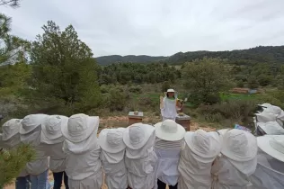 Alumnes de 2n de la PIN de Jesuïtes Lleida fent el taller d'apicultura a Cal Gort a la Pobla de Cèrvoles