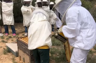 Alumnes de 2n de la PIN de Jesuïtes Lleida fent el taller d'apicultura a Cal Gort a la Pobla de Cèrvoles