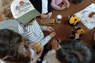 Alumnes de 2n de la PIN de Jesuïtes Lleida fent el taller d'apicultura a Cal Gort a la Pobla de Cèrvoles