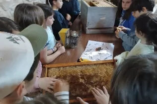 Alumnes de 2n de la PIN de Jesuïtes Lleida fent el taller d'apicultura a Cal Gort a la Pobla de Cèrvoles