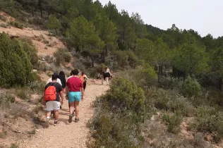 Experiència de sentit de l'alumnat de Grau Mitjà de Jesuïtes Educació