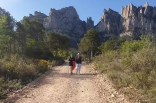 Experiència de sentit de l'alumnat de Grau Mitjà de Jesuïtes Educació