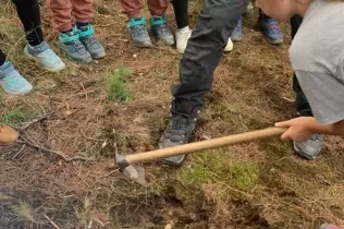 Alumnes de 3r de primària plantant llavors al bosc en una sessió d'escola bosc de Claver Natura