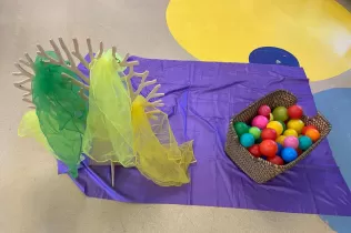 Santa cecilia - musica - sant ignasi