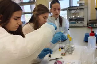 Tallers de coloració de la fruita i elaboració de pasta fresca pels alumnes de BAT 1 al Campus d'ETSEA de la UdL