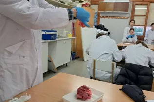 Pràctica del cor amb l'alumnat de 4t ESO-TQE al laboratori de Jesuítes Lleida
