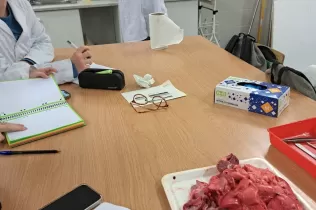 Pràctica del cor amb l'alumnat de 4t ESO-TQE al laboratori de Jesuítes Lleida