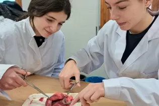 Pràctica del cor amb l'alumnat de 4t ESO-TQE al laboratori de Jesuítes Lleida