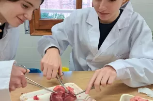 Pràctica del cor amb l'alumnat de 4t ESO-TQE al laboratori de Jesuítes Lleida
