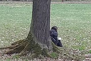 Auschwitz FP - Sant Igansi - Jesuïtes Sarrià