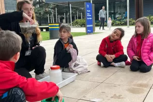 El tresor de l'aigua - Primària -Sant Ignasi - Jesuïtes Sarrià