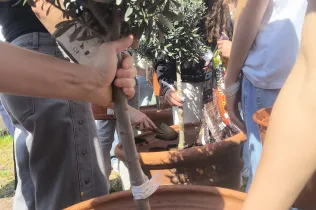 Zone College-Santignasi