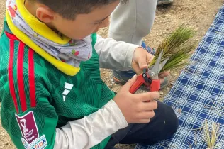 Alumnes de la PIN 3 de Jesuïtes Lleida en una sessió de bosc en el marc del projecte Claver Natura